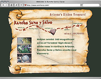 Plastiktoe Design Website Creation